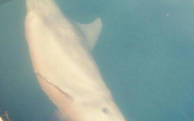 Studio 11 Mandurah Marina