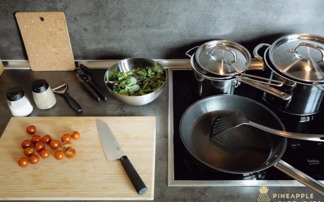 Pineapple Apartments Dresden Zwinger IV