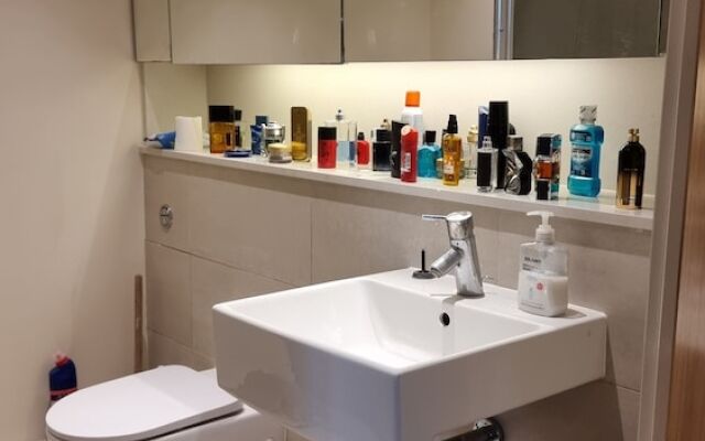 Beautiful and Modern Apartment in North London