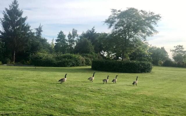 Amber Lodge Hickstead-A