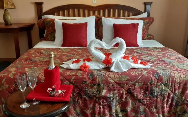 Hotel El Delfin