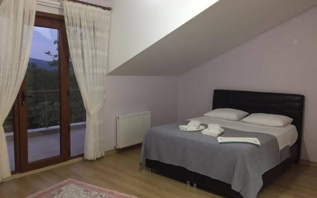 Sapanca mavi yeşil köy evi