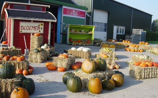 Restinn Warmenhuizen