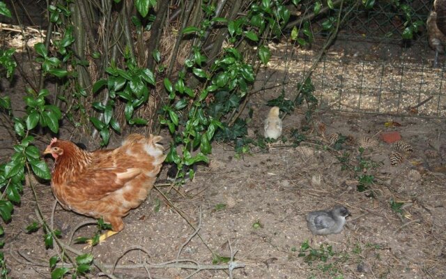 Gites Delorina