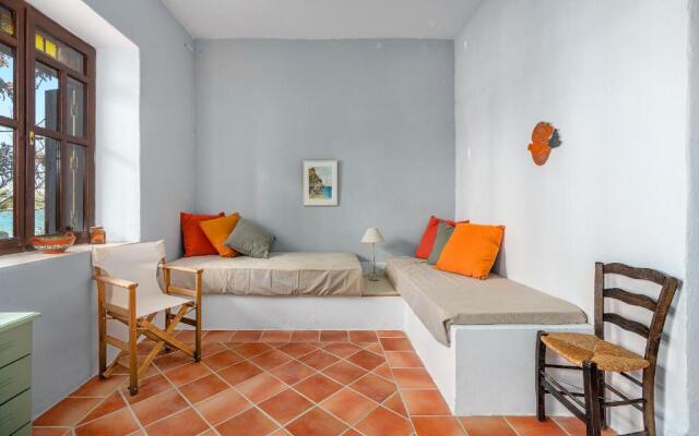 Myrtilo Waterline 2 (Orange)