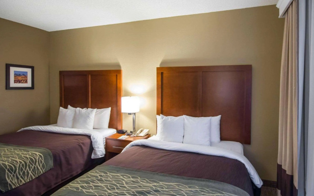 Comfort Inn & Suites Red Oak - Dallas Area