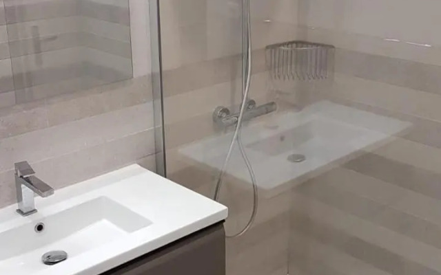 Très beau 3 pièces spacieux lumineux et climatisé