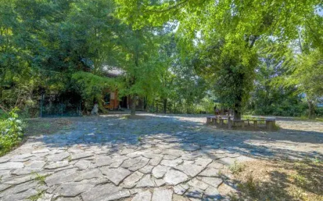 Wudang Chuxing homestay