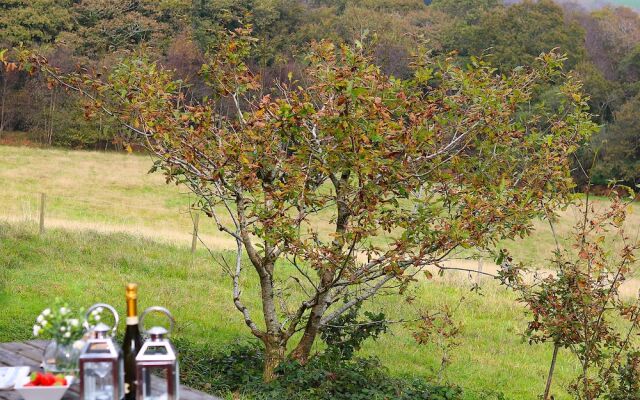 Bluebell Lodge
