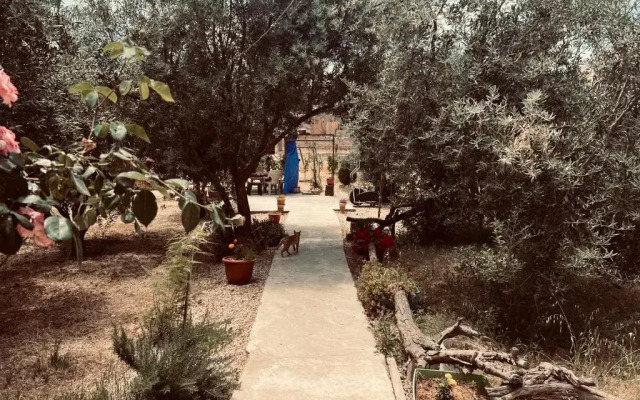 IBN Khaldoon Hostel