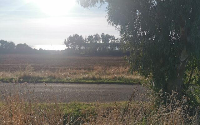 Cozy Sea View Apartment in Civitavecchia