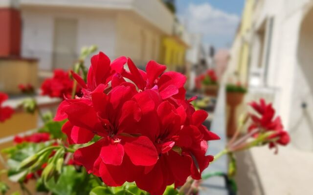 Cupersanum B&B