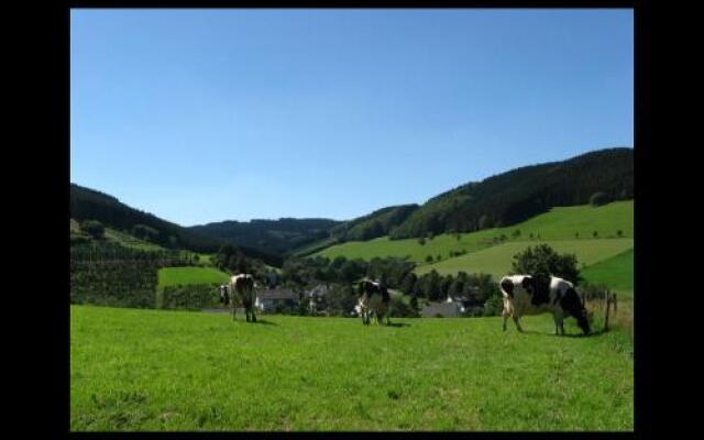 Bauernhof Gördes