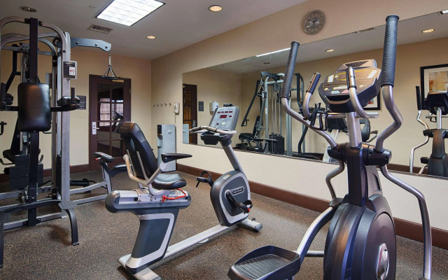 Spark by Hilton Destin