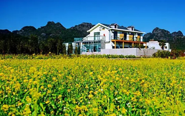 Xingyi Pinfengmingshuwanfeng