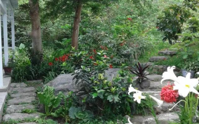 Taitung Linyuan B&B