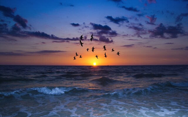 Beach Place 109