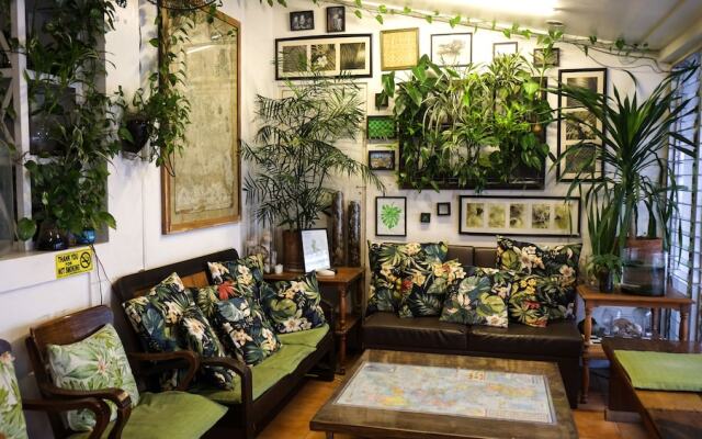 Humble Hut Hostel