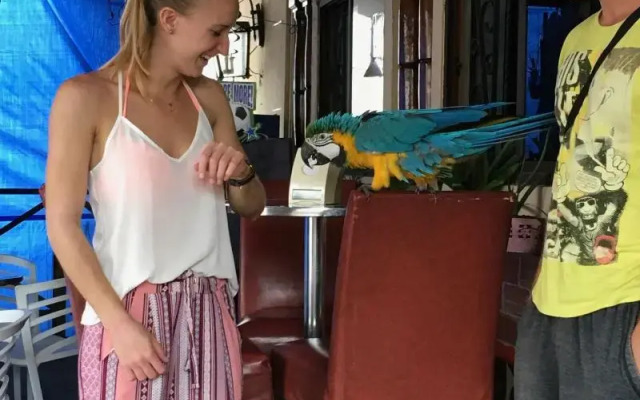 Panama House Bed & Breakfast