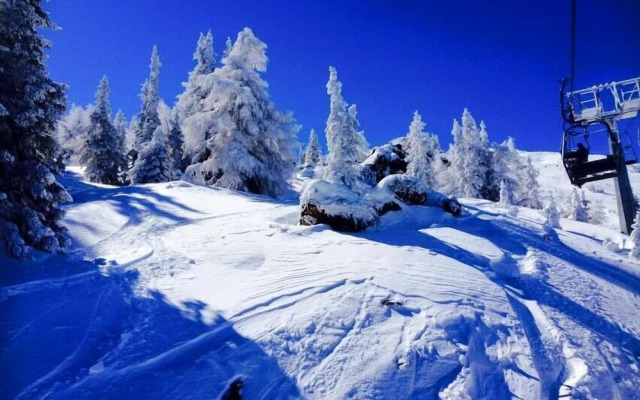 Alfaierhof-Bergheimat