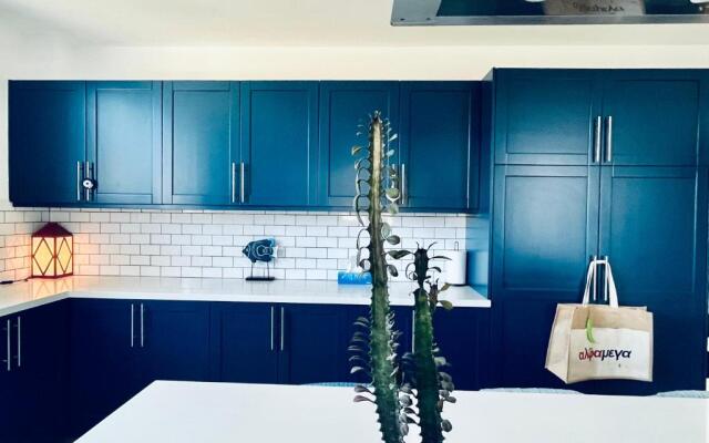The Blue House