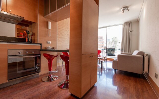 Austral Suites Apartment Providencia