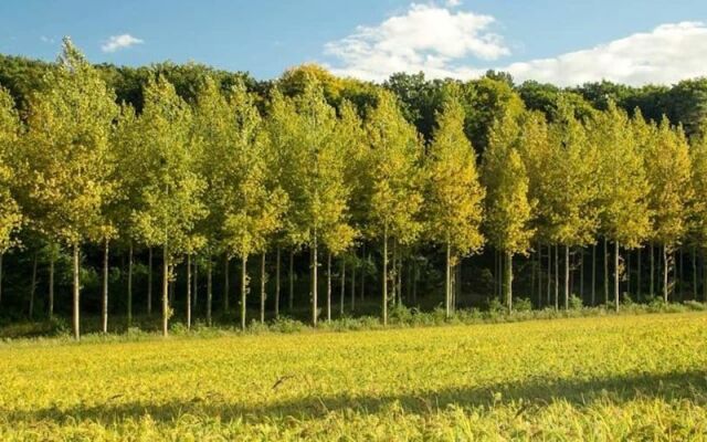 Château de Mont-Félix