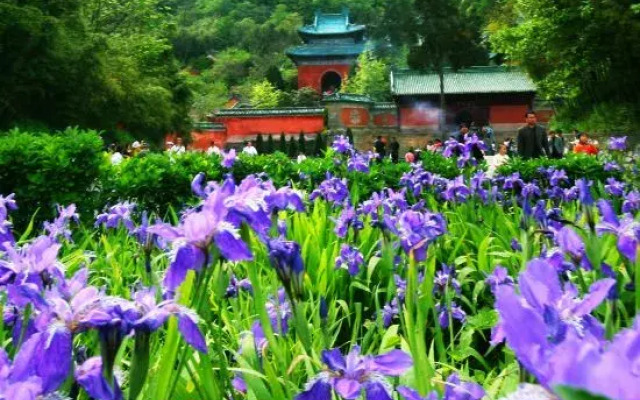 Yishanju Smart Hotel