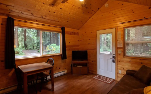 Emerald Forest Cabins