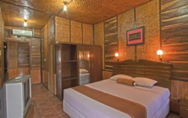 Danau Dariza Resort  - Hotel