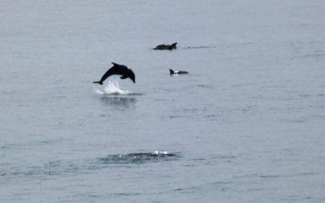 RelaxInn Bed & Breakfast