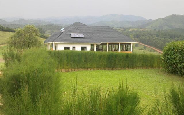 The Crested Crane Bwindi