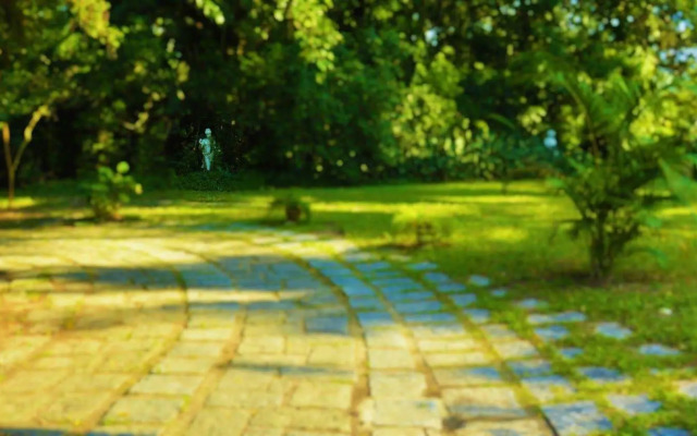 Rio Forest Games Hostel