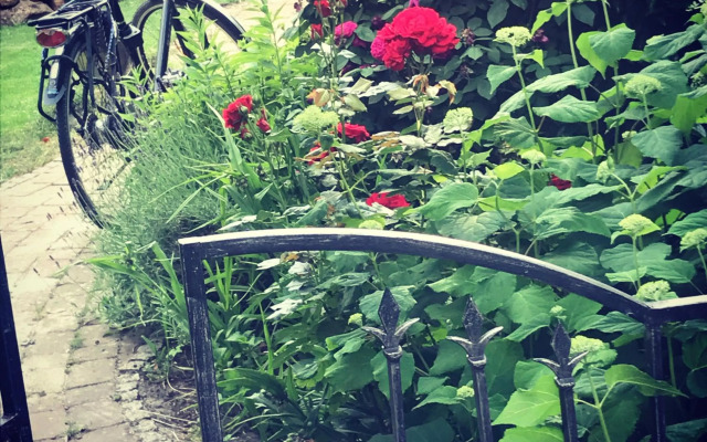 Spechtstraße 65 Ferienwohnung