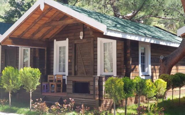 Green Pine Beach & Bungalows Luxury Concept