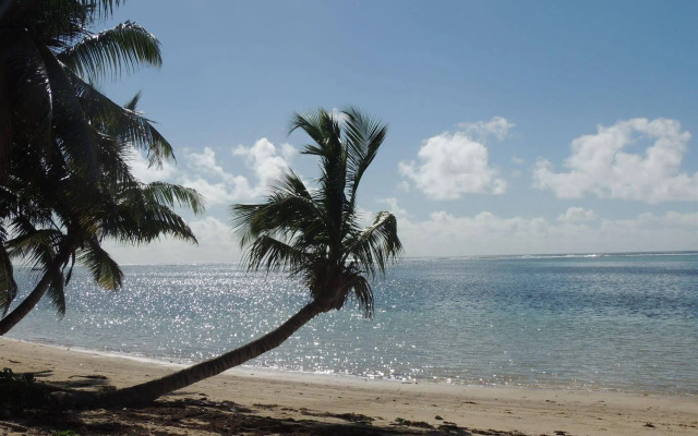 Reef Holiday Apartments