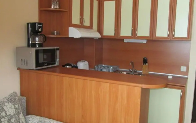 Snow Lodge Alexander Services Apartments