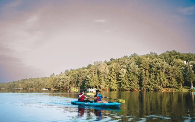 Le Cerf 40 Citq 234861