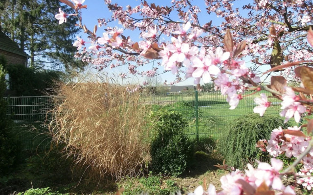 Hotel Haus Nachtigall B&B