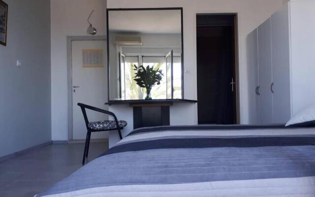 Palm tree studio, Podgora