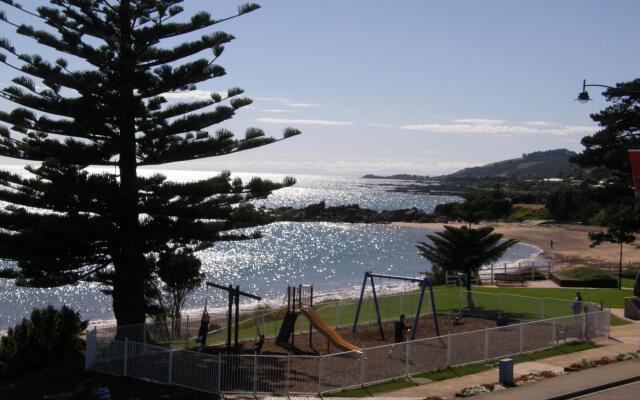 Penguin Waterfront Escape