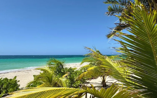 Roatan Infinity Pool & Ocean View