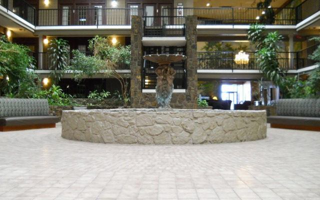 The Cactus Cove Inn and Suites