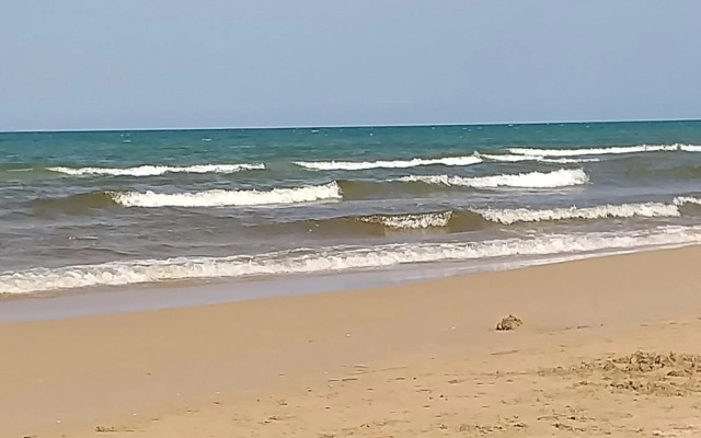 Oliva Nova flat in front of MET