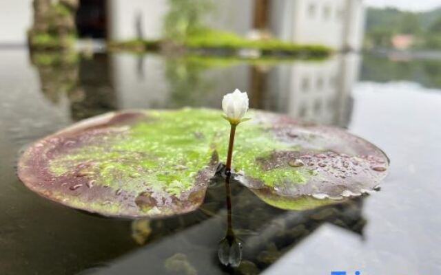 Xiao Zhang's Cultural and Artistic Homestay