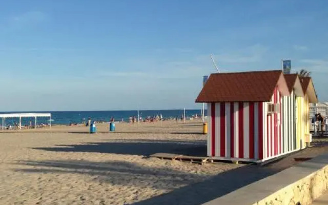 Estudio Playa Muchavista