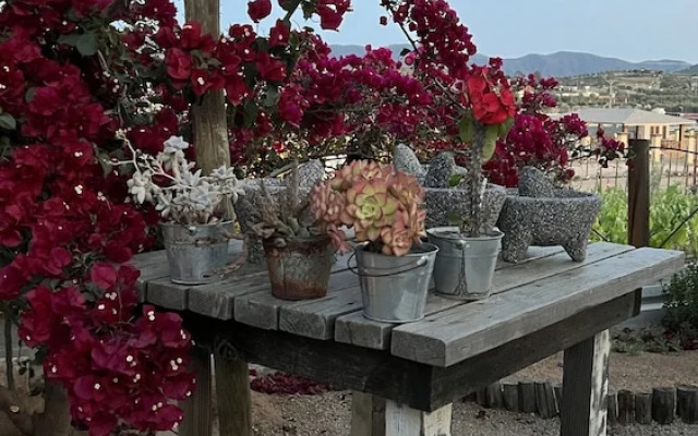 Santerra, Guadalupe Valley