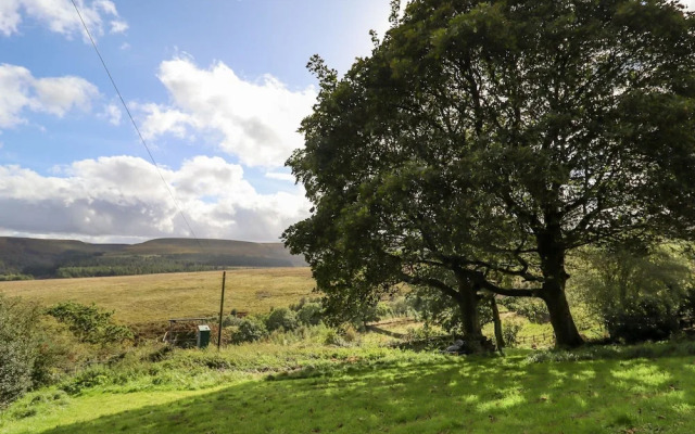 The Shearer's Hut