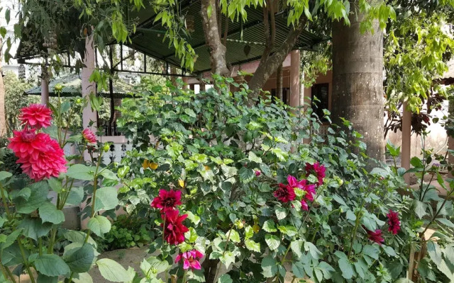 The 90's Sauraha