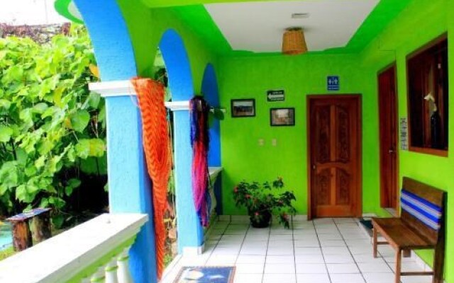 Iguana Hostel